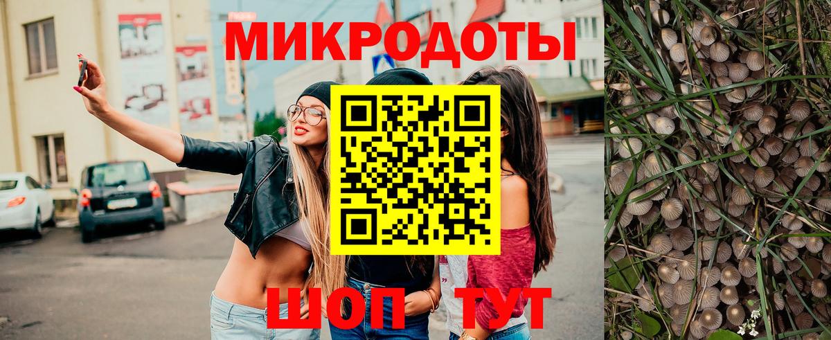 Галлюциногенные грибы Psilocybe Балаково